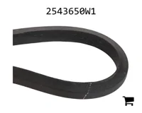 AGCO 2543650W1 Ремень