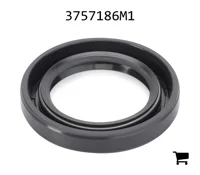 AGCO 3757186M1 Сальник