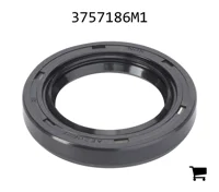 AGCO 3757186M1 Сальник