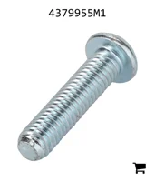AGCO 4379955M1 Винт