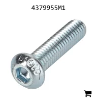 AGCO 4379955M1 Винт