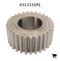 AGCO 4313331M1 Шестерня дифференциала