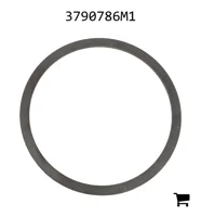 AGCO 3790786M1 Шайба