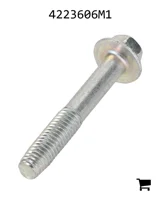 AGCO 4223606M1 Винт с шестигранной головкой