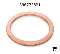 AGCO 3907728M1 Прокладка