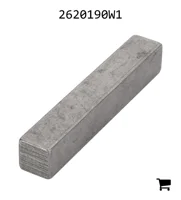 AGCO 2620190W1 Ключ