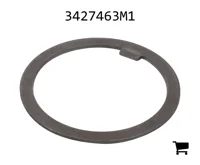 AGCO 3427463M1 Шайба