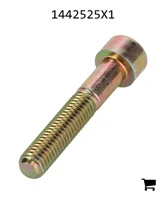 AGCO 1442525X1 Винт с цилиндрической головкой и шестигранным углублением