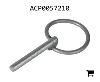 AGCO ACP0057210 Палец