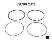 AGCO 7078871M1 Поршень