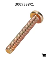 AGCO 3009538X1 Винт с полукруглой головкой