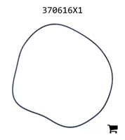 AGCO 370616X1 Уплотнительное кольцо