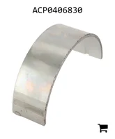 AGCO ACP0406830 Вкладыш подшипника
