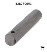 AGCO 4287596M1 Палец вилки