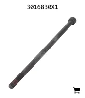 AGCO 3016830X1 Винт с цилиндрической головкой и шестигранным углублением