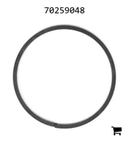 AGCO 70259048 Кольцо