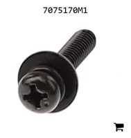 AGCO 7075170M1 Винт