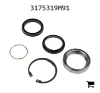 AGCO 3175319M91 Ремкомплект