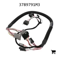 AGCO 3789791M3 Жгут