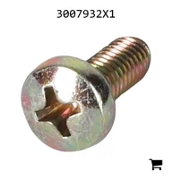 AGCO 3007932X1 Винт с полукруглой головкой