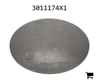 AGCO 3011174X1 Заглушка расширительная