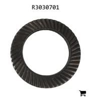 AGCO R3030701 Шайба