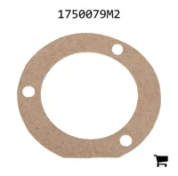 AGCO 1750079M2 Прокладка