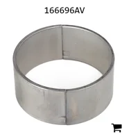 AGCO 166696AV Подшипник