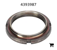 AGCO 4393987 Гайка