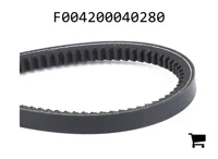 AGCO F004200040280 Клиновой ремень