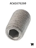 AGCO ACW1676260 Установочный винт