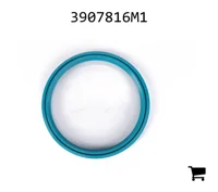 AGCO 3907816M1 Уплотнение