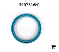 AGCO 3907816M1 Уплотнение
