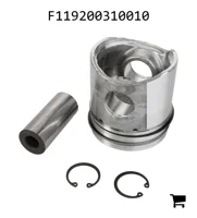 AGCO F119200310010 Поршень