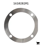 AGCO 1610282M1 Регулировочная шайба