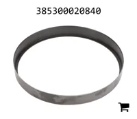AGCO 385300020840 Обойма