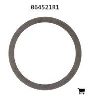 AGCO 064521R1 Шайба