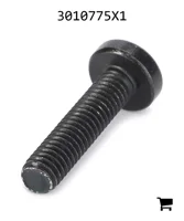 AGCO 3010775X1 Винт с потайной головкой