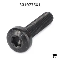 AGCO 3010775X1 Винт с потайной головкой