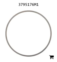 AGCO 3795176M1 Шайба