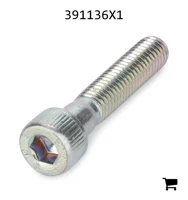 AGCO 391136X1 Винт с внутренним шестигранником