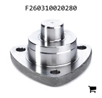 AGCO F260310020280 Шкворень поворотного кулака