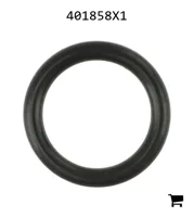 AGCO 401858X1 Уплотнительное кольцо