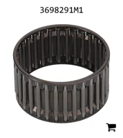 AGCO 3698291M1 Подшипник игольчатый