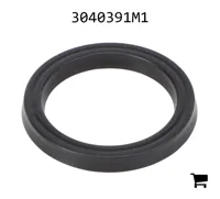 AGCO 3040391M1 Уплотнение