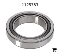 AGCO 1125783 Конический роликовый подшипниковый узел