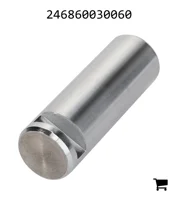 AGCO 246860030060 Болт