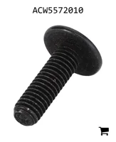 AGCO ACW5572010 Винт с головкой Torx