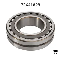 AGCO 72641828 Подшипниковый узел