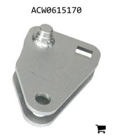 AGCO ACW0615170 Натяжитель